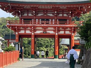 走入神隱海岸的宮崎神宮