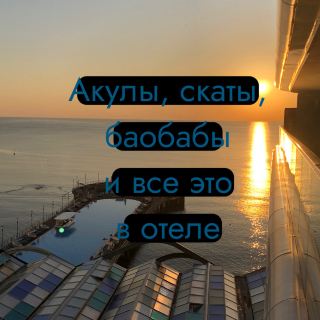 Sharks and baobabs in Georgia.