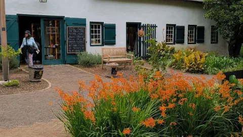 โรงกลั่นเหล้าองุ่น Buitenverwachting ในเมือง Constantia ประเทศแอฟริกาใต้ — traveler post in Constantia