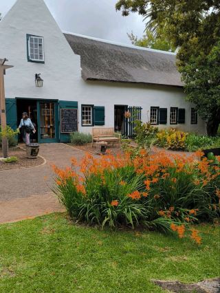 โรงกลั่นเหล้าองุ่น Buitenverwachting ในเมือง Constantia ประเทศแอฟริกาใต้