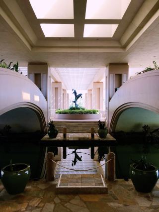 จังหวะหัวใจมรกต: การตื่นขึ้นของฤดูใบไม้ผลิในฮิโล 🇺🇸