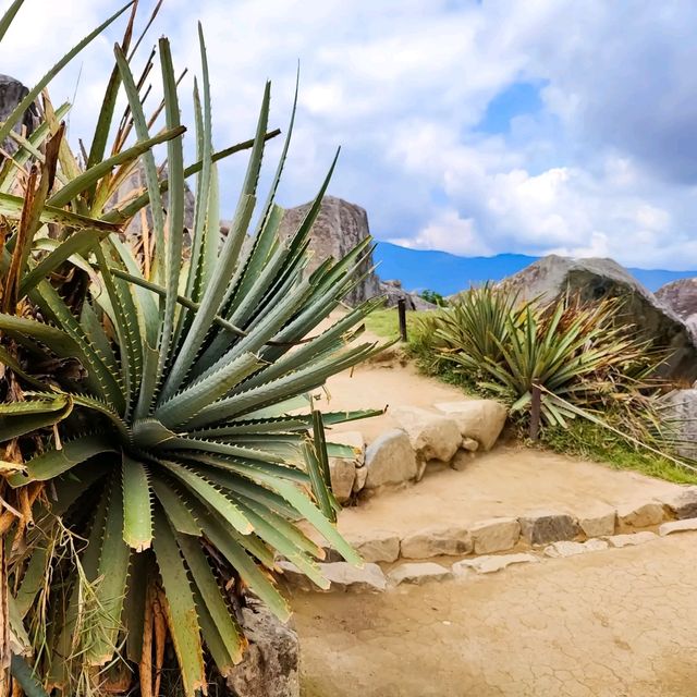 🌅🌿🌄 Unforgettable Views: Machu Picchu