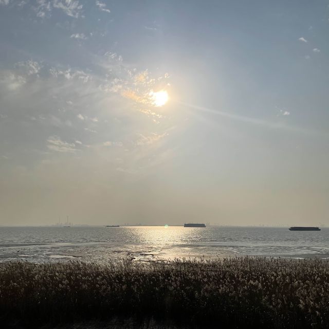 【上海・崇明島】長江の堆積物でできた巨大な島