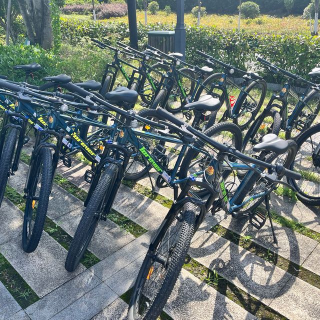 Cycling 🚴‍♀️ in Hangzhou
