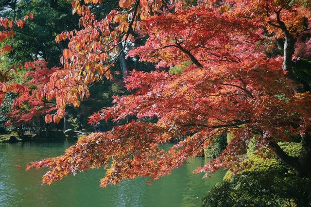Off-the-beaten-path destinations for viewing autumn leaves in Japan.