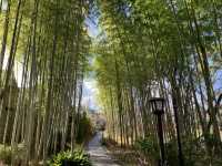 Japan's Izu Shuzenji, a less popular ancient hot spring resort.