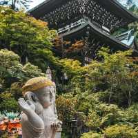 MIYAJIMA ISLAND ( perfect 1-day trip from Hiroshima)