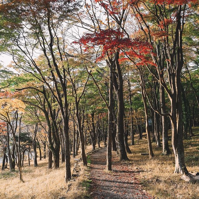 🇯🇵箱根蘆之湖
