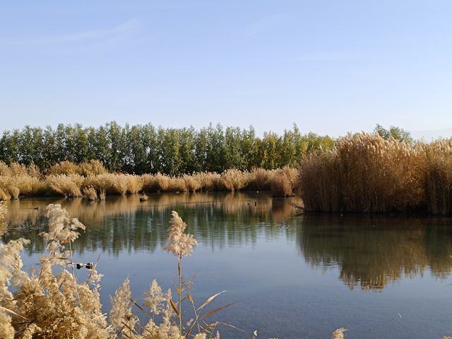 遇見多彩的秋天，張掖國家濕地公園