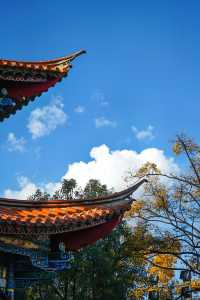 深秋的翠湖公園真的太美了（附攻略）