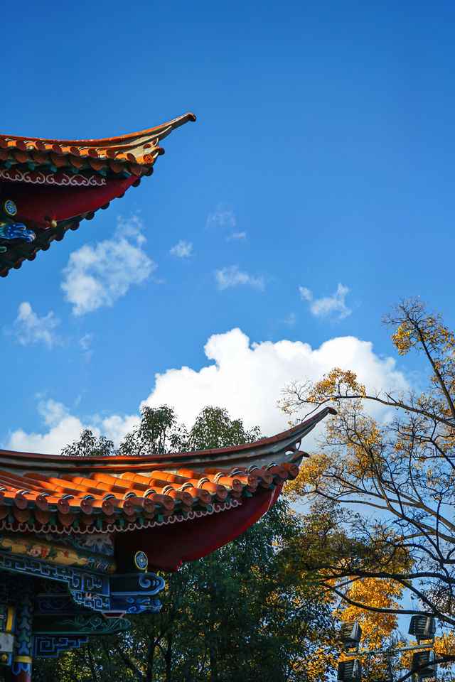 深秋的翠湖公園真的太美了（附攻略）