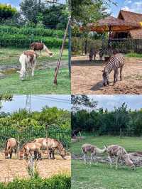 每一幀都像在動漫中的周口野生動物世界