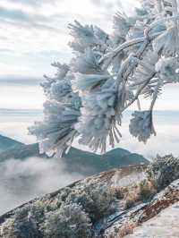 南方人自己的霧凇就在【石牛山】！|||