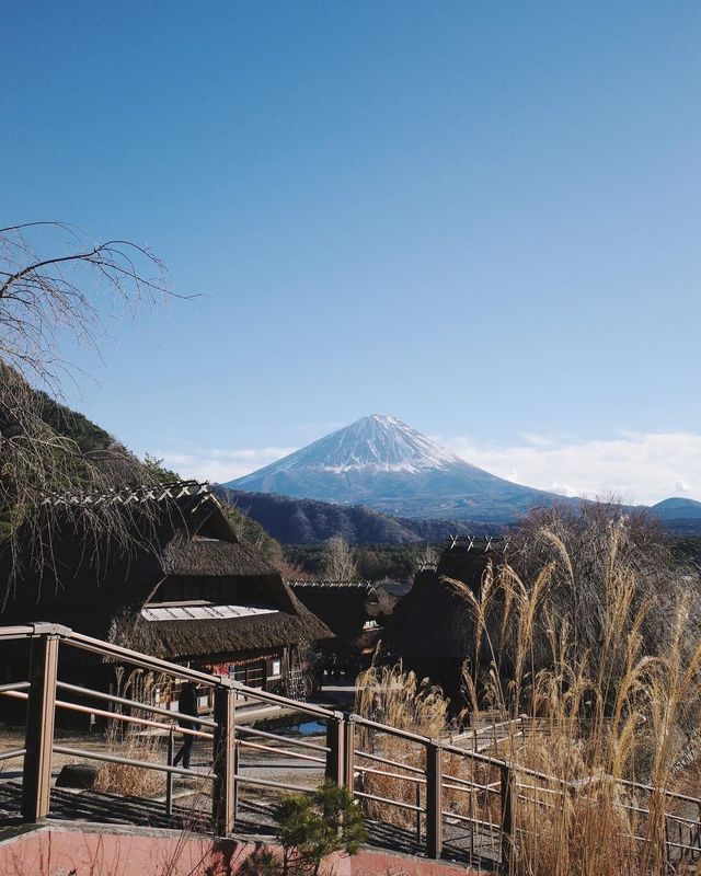富士山下的世外桃源：河口湖美景的心動之旅