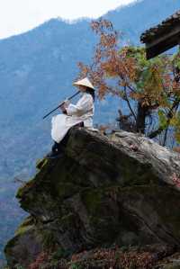 森林療癒之旅，山谷躺著看雲海湖北武當山民宿