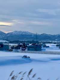 🇯🇵 北海道 旭川｜冷門  但 巨美！！！！