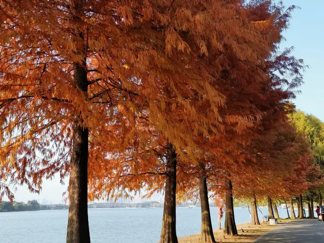 Suzhou Stone Lake