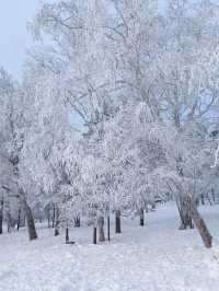 哈爾濱雪谷霧凇嶺絕美日落！！ 不虛此行