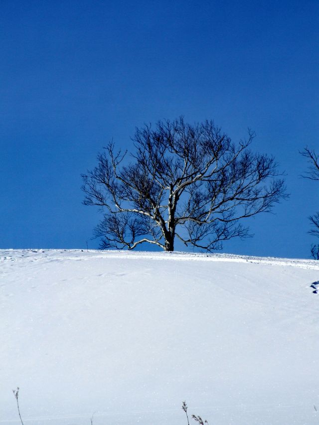 原來姊也能過雪山的