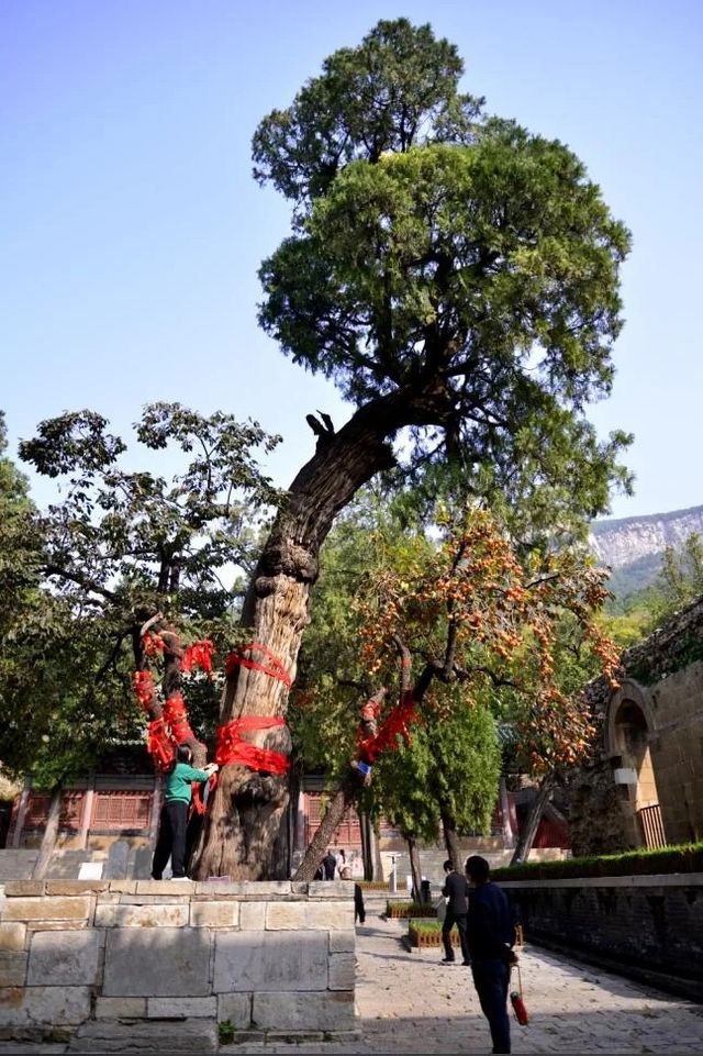 來濟南一定要去千年古剎—大靈巖寺