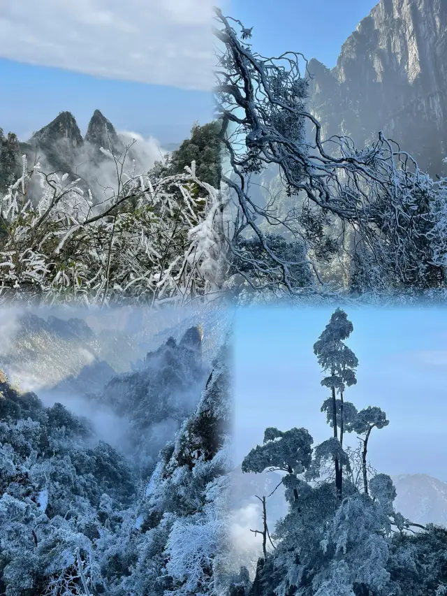 Chenzhou Mangshan|Beautiful rime scenery