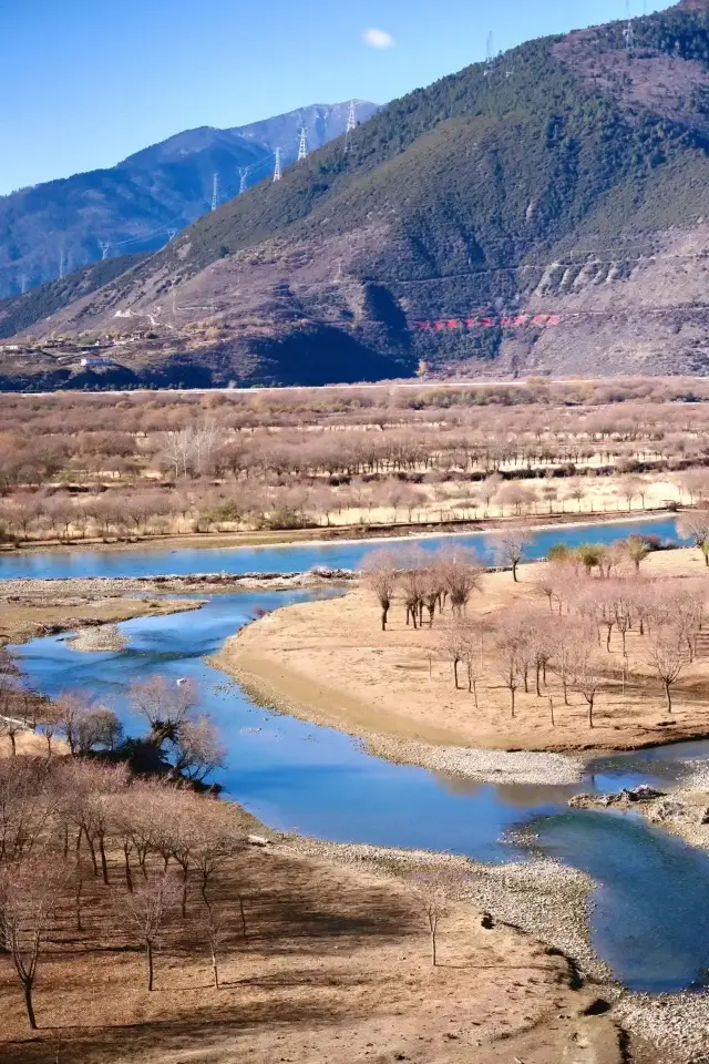 西藏林芝尼洋河湿地