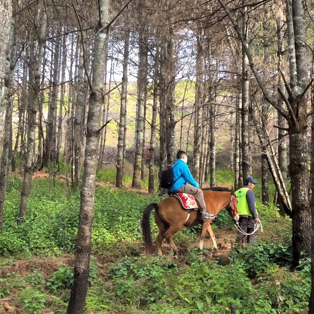 雲南騰沖，火山地熱國家地質公園！推騎馬上山！