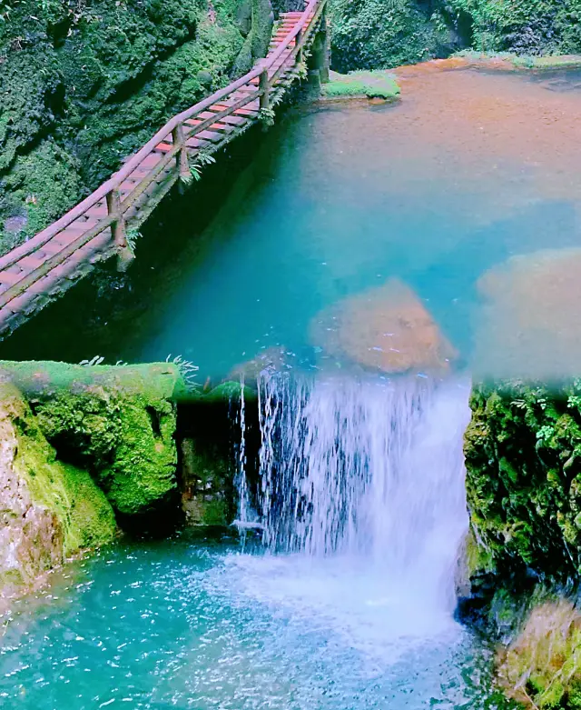 You definitely can't miss this place when you come to the back mountain of Qingcheng