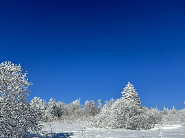 雪嶺芬蘭即視感