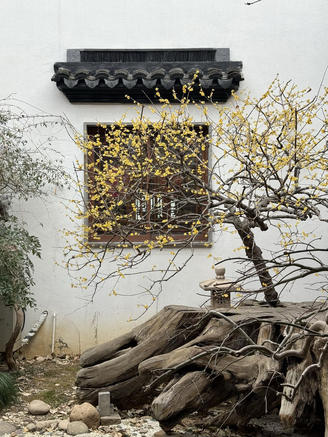 蘇州｜希望可以每天坐在河邊曬太陽