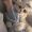 Reed_Clara_52