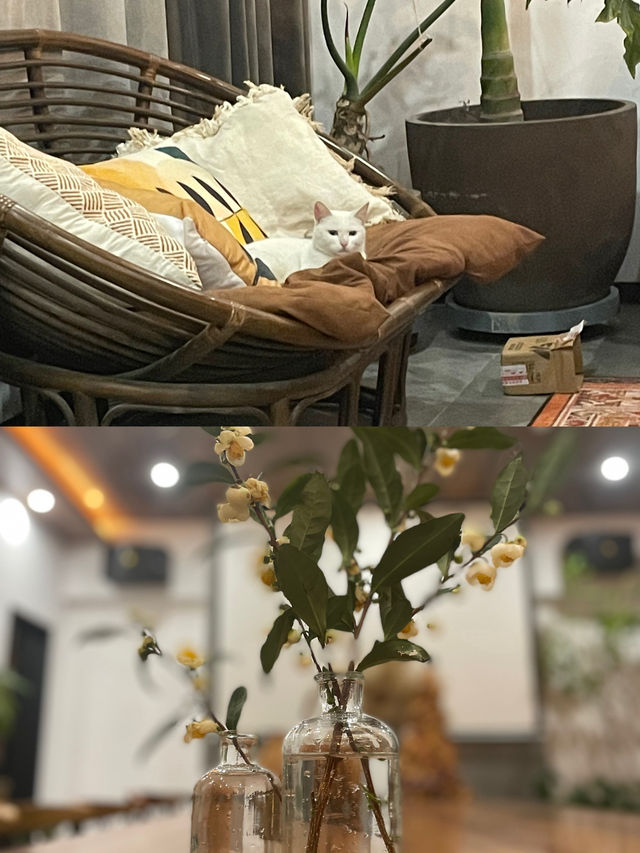 朋友圈問爆了的太湖轟趴館