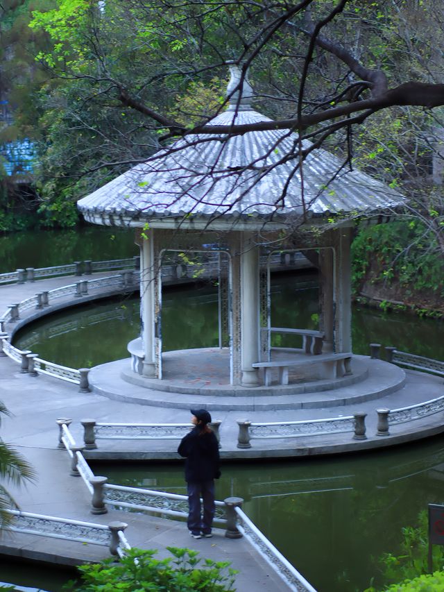 佛山｜中山公園｜嚴重被低估的小眾寶藏公園