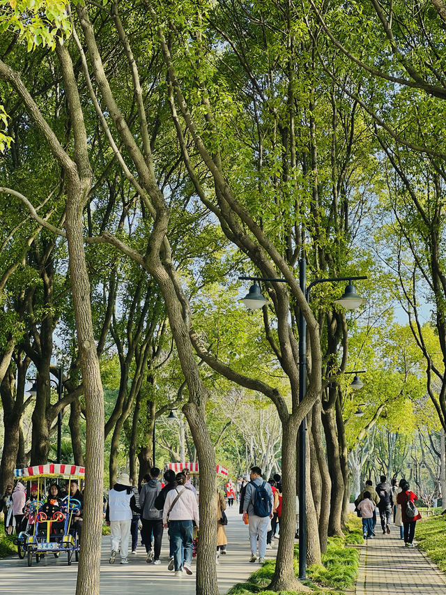 春日暖陽下的世紀公園