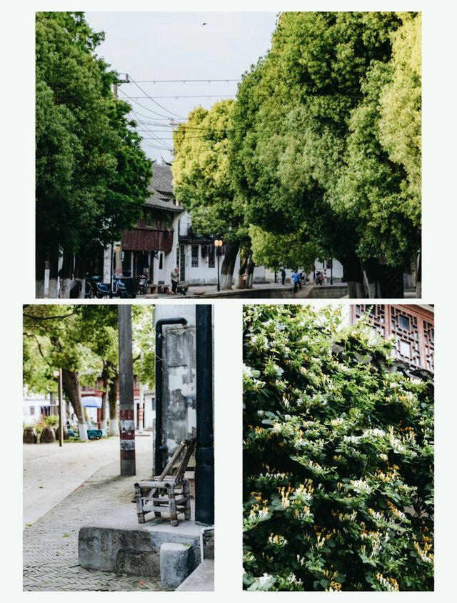 上海歷史文化最濃厚的古鎮-練塘古鎮