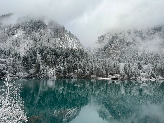 四川九寨溝｜誰懂？下雪的九寨溝是長成這樣的