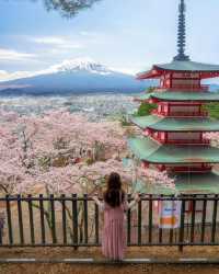 日本を代表する景色、新倉山浅間公園の桜