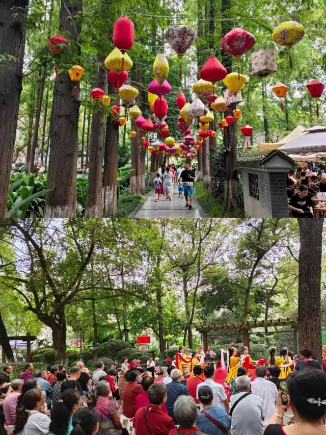 People's Park | A must-visit park in Chengdu
