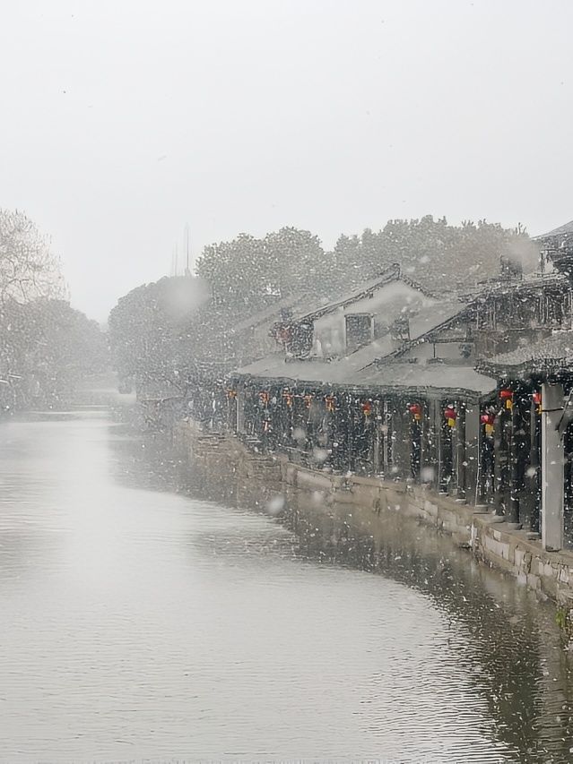 下雪的西塘真的離譜！