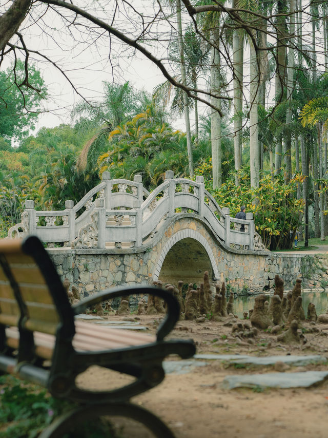 植物園 | 鏡頭下的春和景明