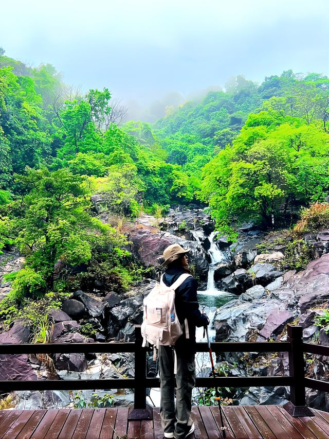 雨天徒步 ｜去山里聽雨 看迷霧森林