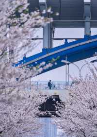 接下來的杭州，堪稱春日旅遊天花板！