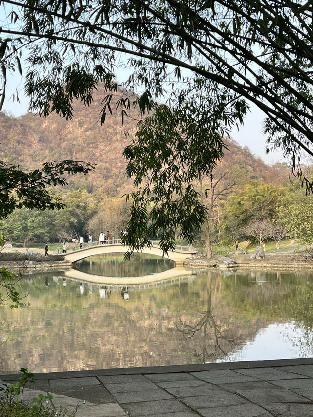 天氣晴朗的時候來龍潭公園走走吧～