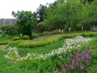 鮮花山谷——登高雲山·雲谷花境
