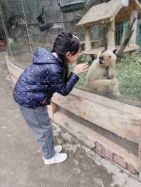 自我療癒，去南寧動物園泡上一天吧