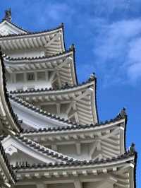 Beautiful Himeji Castle in Japan🇯🇵❤️