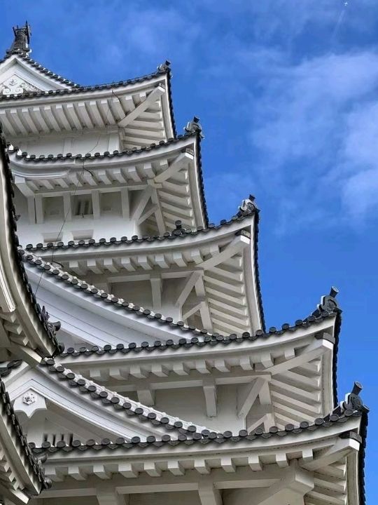 Beautiful Himeji Castle in Japan🇯🇵❤️