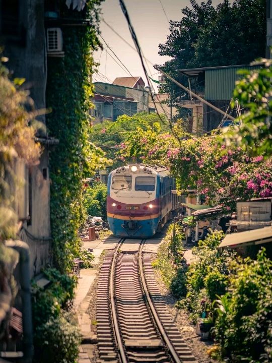 Thrilling Train Street in Vietnam🇻🇳