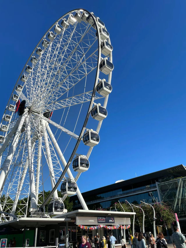 The Wheel of Brisbane 🎡🇦🇺