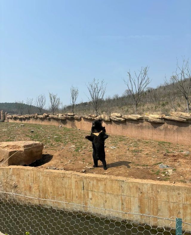 徐州九頂山去過了很好！!